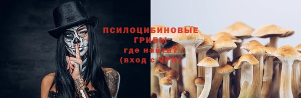 ALPHA PVP Алексин