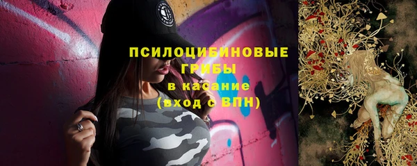 стаф Алзамай