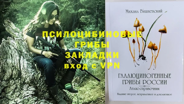 стаф Алзамай