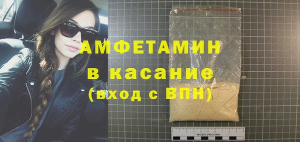 стаф Алзамай