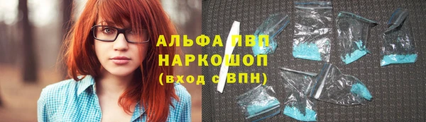 стаф Алзамай