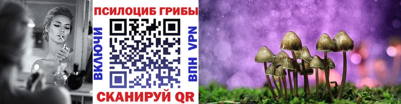 МЕГА ссылки  купить   Андреаполь  Галлюциногенные грибы мухоморы 